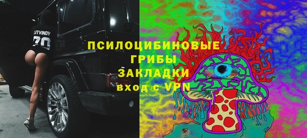 spice Осташков